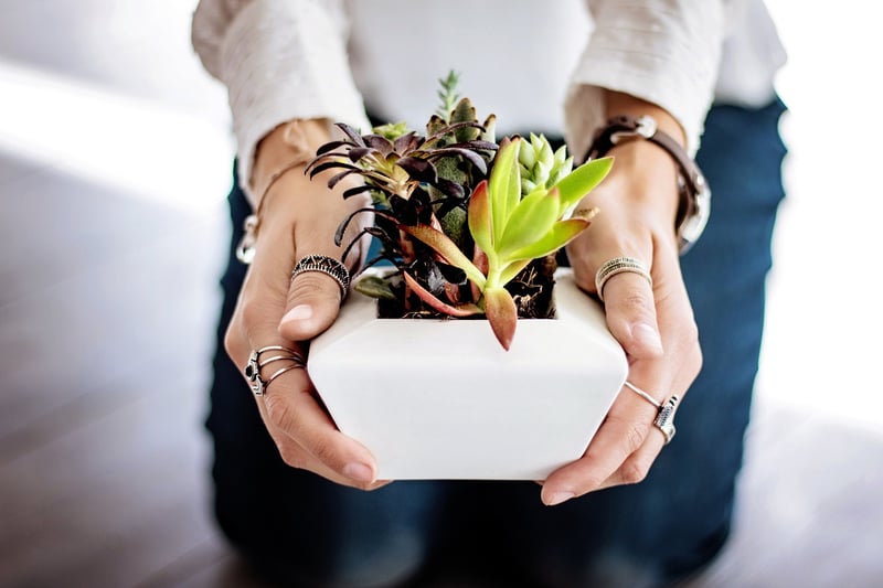 Repurposed Pots