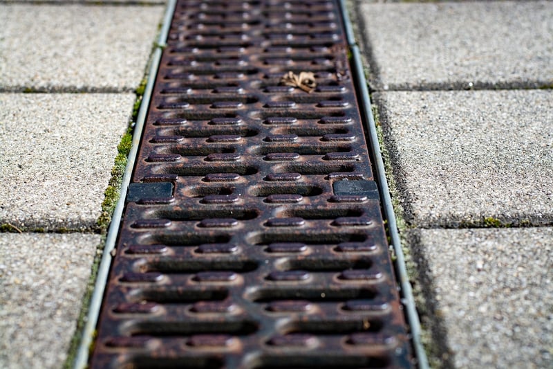 Gutter Gardens
